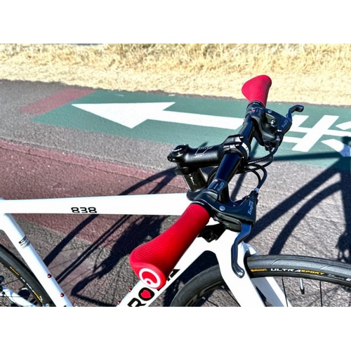 DE ROSA ( デローザ ) フラットバーロード 838 DISK 府中多摩川店オリジナル完成車 ホワイト グロッシー 50 (身長目安170cm前後)