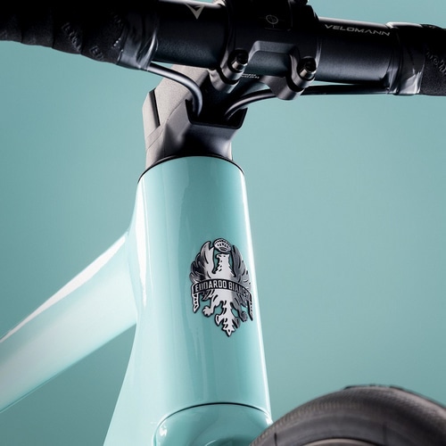 BIANCHI ( rAL ) [hoCN SPRINT ICR 105 @B 12S ( Xvg ICR ) SX - CK16 / ubNuObV[ 50 (gڈ165cmO)