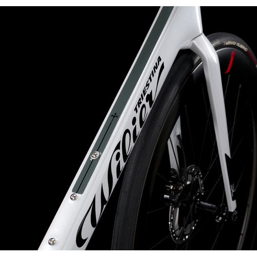 Wilier Triestina ( �E�B���G�[�� ) ���[�h�o�C�N FILANTE SL SHIMANO 105 DISC Di2 �d�l ( �t�B�����e �G�X�G�� ) �V���o�[ S ( �g���ڈ�170cm�O�� )