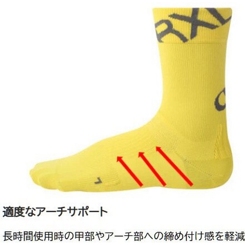 R×L SOCKS ( A[G\bNX ) \bNX TBK-300R oCN [VO Obv \bNX ( Eh ) IW/zCg S ( 22-24cm )
