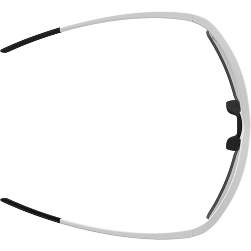 ALPINA ( �A���s�i ) �T���O���X EAGLE V ( �C�[�O�� V ) �z���C�g�}�b�g