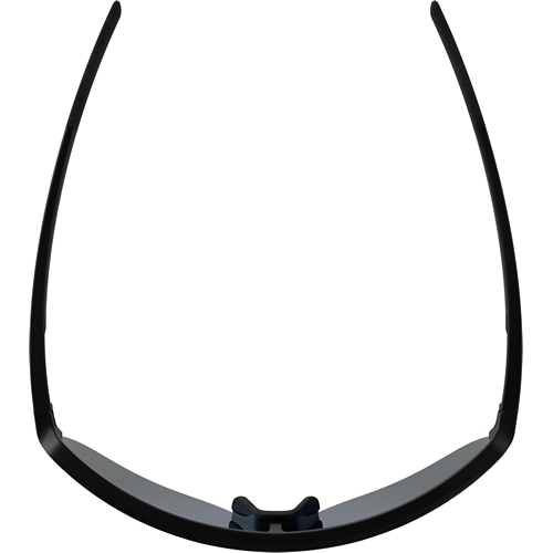 ALPINA ( アルピナ ) サングラス RAM 2.0 Q-LITE ( ラム 2.0 Q-ライト ) ブラックマット