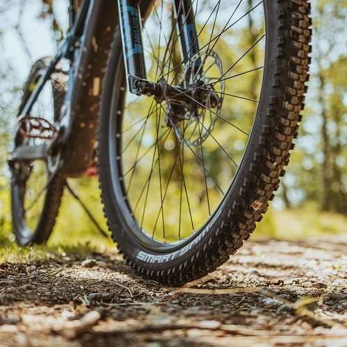SCHWALBE ( �V�������x ) �N�����`���[�^�C�� SMART SAM ( �X�}�[�g�T�� ) �u���b�N 16X1.85 ( 305 )