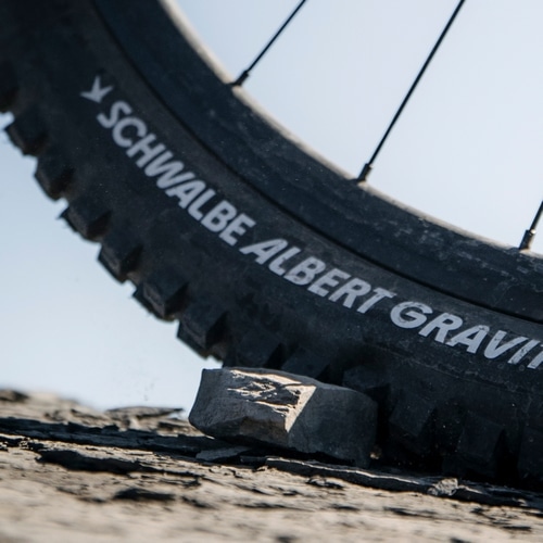 SCHWALBE ( シュワルベ ) チューブレスタイヤ ALBERT TRAIL PRO/ULTRA