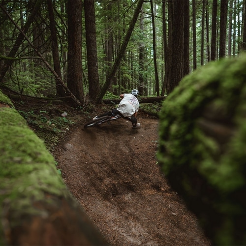 SCHWALBE ( �V�������x ) �`���[�u���X�^�C��  ���[�~�[ ���W�A�� 29x2.50