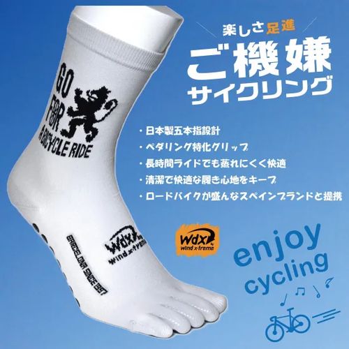 WIND X-TREME ( EChGNXg[ ) \bNX @TCN\bNX(Obvtܖ{wj O[ 25.5-27.5cm