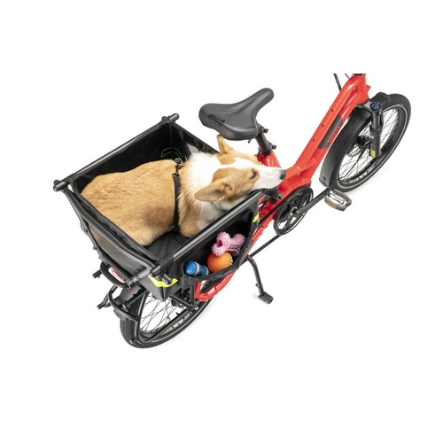 TERN ( �^�[�� ) ���A�o�b�O�E�L�����A�o�b�O SOFT CRATE MINI ( �\�t�g �N���C�g �~�j )