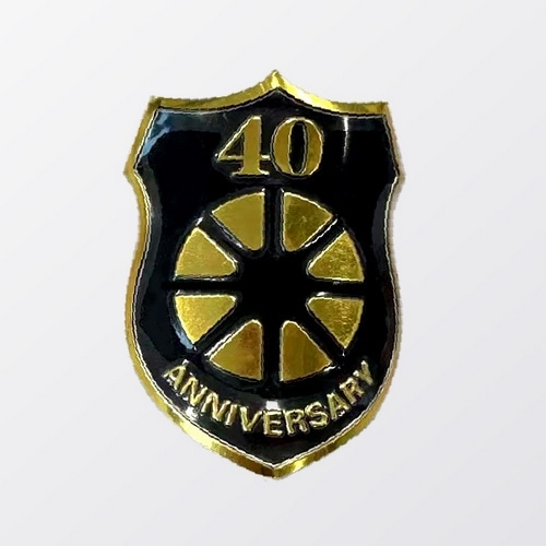 DAHON ( �_�z�� ) �܂肽���ݎ��]�� VISC EVO ( ���B�X�N �G���H ) �f�B�r�W�����V�����p�� (����F) 20�C���` ( �g���ڈ�170cm�O�� )