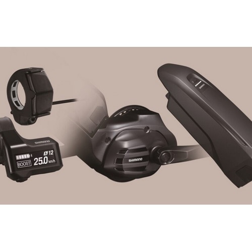 FUJI ( tW ) dAVXg]ԁie-bikej FARPOINT ( t@[|Cg ) VpS[h L ( Kg175-190cmO )