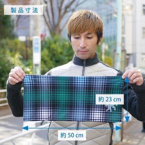 KAPELMUUR ( カペルミュール ) ネックウェア ネックウェア グリーンライオン フリーサイズ