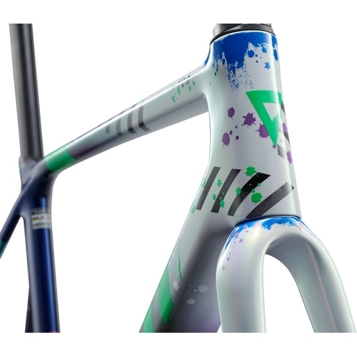 GIANT ( ジャイアント ) ロードフレーム TCR ADVANCED PRO Frameset