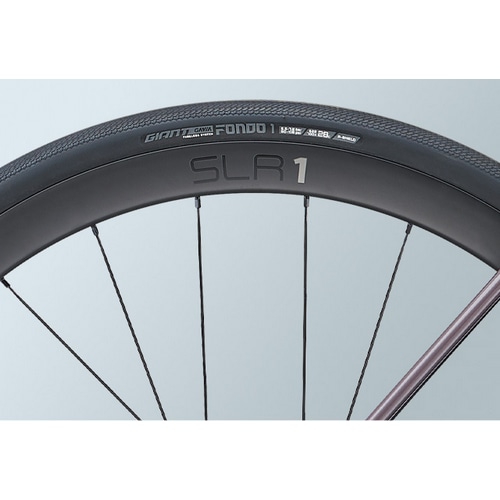 GIANT ( WCAg ) [hoCN TCR ADVANCED PRO 1 DISC AR ( TCR Ah@Xh v 1 fBXN I[[h ) `R[v 425XS iKg155-170cmj