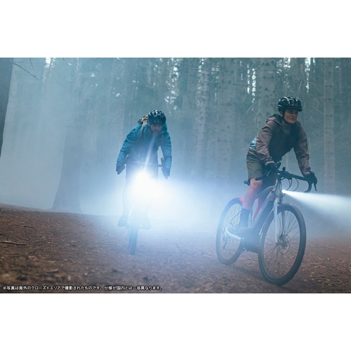 YAMAHA ( ヤマハ ) 電動アシスト自転車(e-bike) WABASH RT ( ワバッシュ アールティー ) マットショールグレー M ( 身長目安175cm前後 )