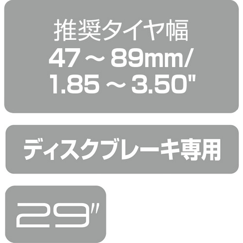 DT SWISS ( �f�B�[�e�B�[�X�C�X ) ���� FR541 �V���o�[ 29�C���`/32H