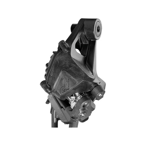 Campagnolo ( �J���p�j���[�� ) ���A�f�B���C���[ RECORD WRL 13s R���J DIRECT