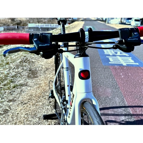 DE ROSA ( デローザ ) フラットバーロード 838 DISK 府中多摩川店オリジナル完成車 ホワイト グロッシー 50 (身長目安170cm前後)