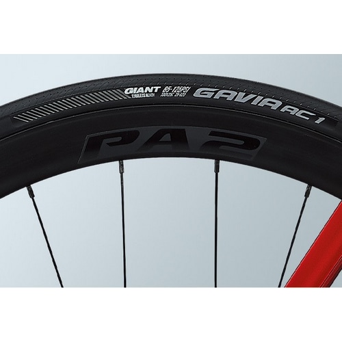 GIANT ( ジャイアント ) ロードバイク PROPEL ADVANCED 2 DISC ( プロペル アドバイス 2 ディスク ) グレナデン 500/S ( 身長目安170cm前後 )