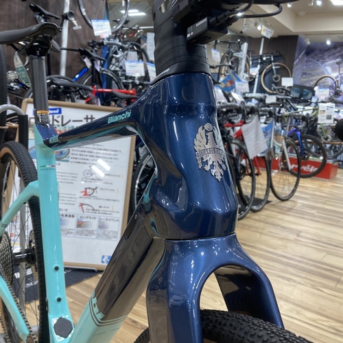 BIANCHI ( rAL ) Ox[h ARCADEX GRX600 ( AJfbNX GRX600 ) CELESTE CK16 / BLUE NOTE GLOSSY ( `FXe / u[ ) ND (gڈ180cmO)