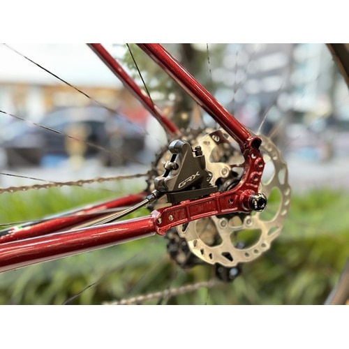 GIOS ( WIX ) Ox[h NATURE GRX610 ( lC`[ GRX610 ) C bh 540 ( Kgڈ175cmO )