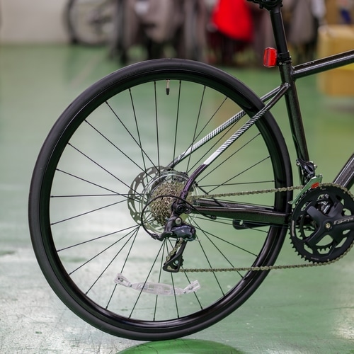 FUJI ( tW ) [hoCN NAOMI DISC ( iI~ fBXN ) Ob^[O[ 42 ( gڈ160cmO ) yICꔄ/z