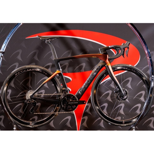 PINARELLO ( si ) [ht[ DOGMA F FRAME SET ( hO} F t[Zbg ) G110 Luxter Red Gold ( NX^[ bh S[h ) 43 (gڈ155cmO)