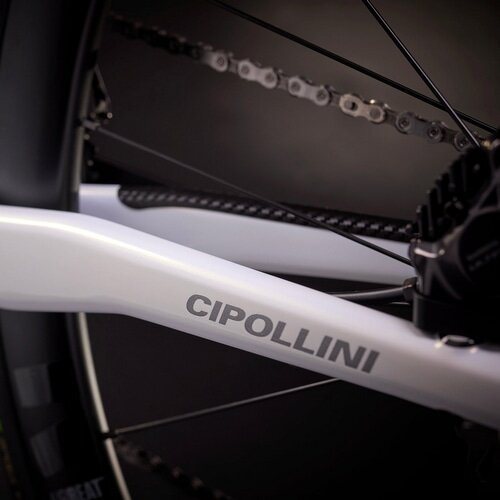 CIPOLLINI ( `|b[j ) [ht[ BOND EVO DISC ( {h GH fBXN ) zCg J[{ Ib^jI XS (gڈ165cmO)