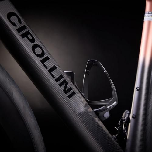 CIPOLLINI ( `|b[j ) [ht[ ITACA ( C^J ) J[{ S[hsN XS (gڈ165cmO)