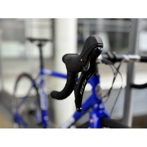 GIOS ( WIX ) [hoCN REGINA ( W[i ) WIXu[ 500 ( gڈ170cmO )