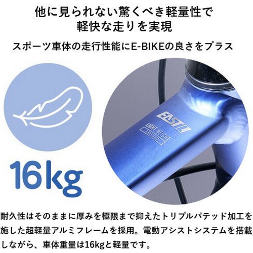 SmaChari ( スマチャリ ) 電動アシスト自転車(e-bike) RAIL DISC-E 【耐パンク特別仕様車】 ( レイル ディスク イー ) マットブラック 440 ( 身長目安165-180cm前後 )