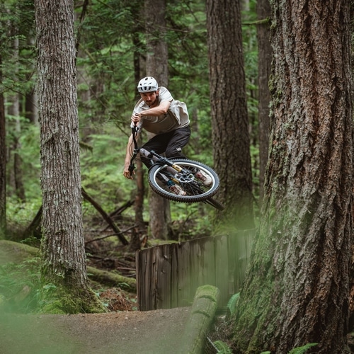 SCHWALBE ( �V�������x ) �`���[�u���X�^�C��  ���[�~�[ ���W�A�� 29x2.50