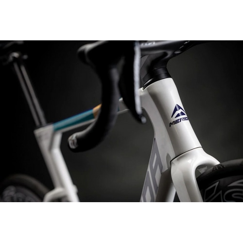 MERIDA ( _ ) [hoCN REACTO TEAM ( ANg `[ ) p[ ( u[ `[ ) EW57 54 (gڈ180cmO)