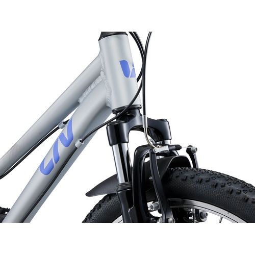 GIANT ( WCAg ) LbYoCN LIV TEMPT 24 ( u evg 24 ) Vo[/p[v 270 (gڈ130-150cmO)