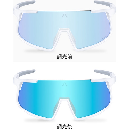 ALTALIST ( A^Xg ) TOX KISOU CR1 ( L\E V[A[ ) OXzCg ( u[~[/VIV20 )