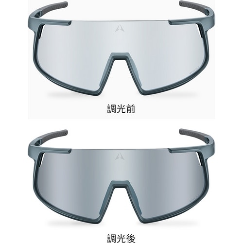 ALTALIST ( A^Xg ) TOX KISOU CR1 ( L\E V[A[ ) OXX[L[u[ ( Vo[~[/VIV20 )