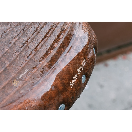 selle-ROYAL ( �Z�����C���� ) �T�h�� DRIFTER PLUS ( �h���t�^�[ �v���X ) �u���E��