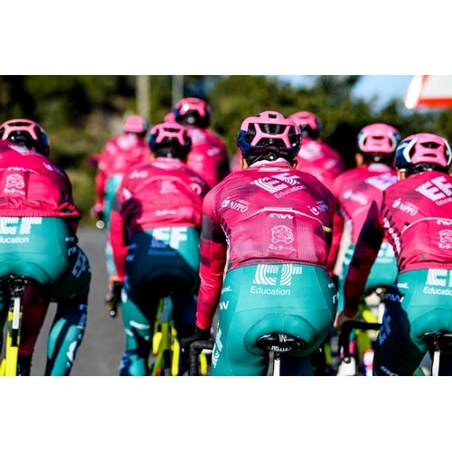 NORTH WAVE ( �m�[�X�E�F�[�u ) �����W���[�W EF DEV REPLICA JSY �s���N/�O���[�� M