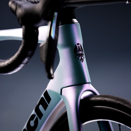 BIANCHI ( rAL ) [ht[ SPECIALISSIMA PRO ( XyVbV} v ) t[Zbg MV J[{ / Ot@Cg CfBZg / ubN 53 (Kgڈ170cmO)