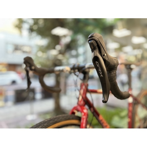 GIOS ( WIX ) Ox[h NATURE GRX610 ( lC`[ GRX610 ) C bh 540 ( Kgڈ175cmO )