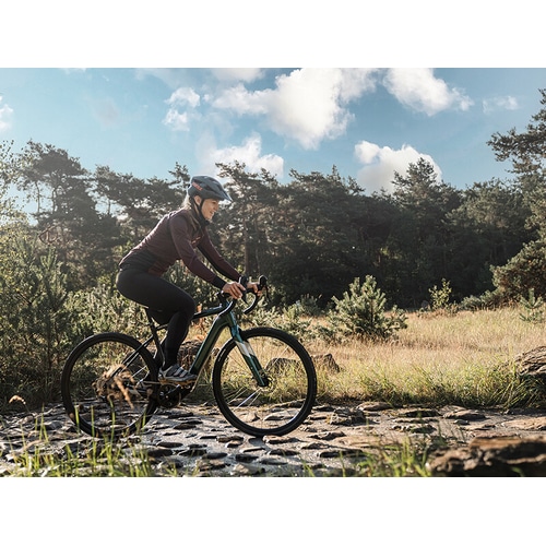 BESV ( xXr[ ) dAVXg]ԁie-bikej JGR1.1 AEgbgf ^bN}JCg M ( gڈ165cmO )