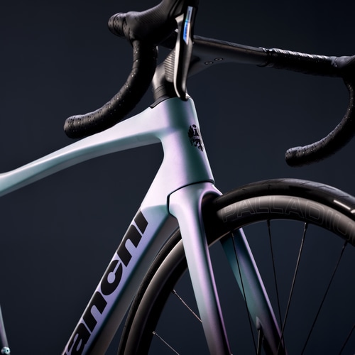 BIANCHI ( ビアンキ ) ロードフレーム SPECIALISSIMA PRO ( スペシャリッシマ プロ ) フレームセット MV カーボン / グラファイト イリディセント / ブラック 53 (身長目安170cm前後)