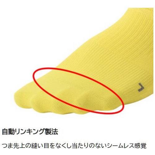 R×L SOCKS ( A[G\bNX ) \bNX TBK-300R oCN [VO Obv \bNX ( Eh ) IW/zCg S ( 22-24cm )