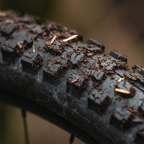 SCHWALBE ( �V�������x ) �`���[�u���X�^�C��  ���[�~�[ ���W�A�� 29x2.50