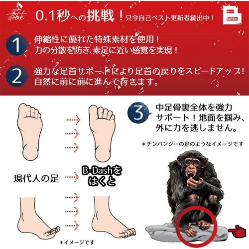 PALOURDE ( �p���[�h ) �\�b�N�X �������� B-DASH S ( 21-25cm )