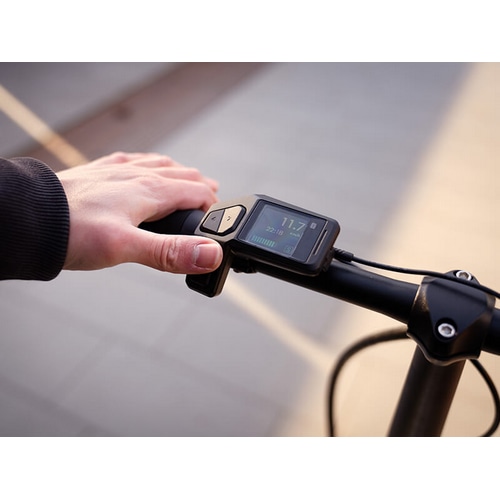 BESV ( xXr[ ) dAVXg]ԁie-bikej PSF2 G{j[ubN TCY ( gڈ150cmȏ )