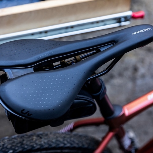 GIANT ( ジャイアント ) グラベルロード LIV DEVOTE 2 ( リブ ディヴォート 2 ) テラコッタ 390XS (適応身長155-170cm)