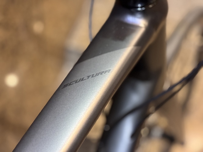 MERIDA ( �����_ ) ���[�h�o�C�N SCULTURA 400 ( �X�N���g�D�[�� 400 ) �V���N�u���b�N / �_�[�N�V���o�[ ( FK02 ) 41 / 3S (�K���g���ڈ�150-160cm�O��)