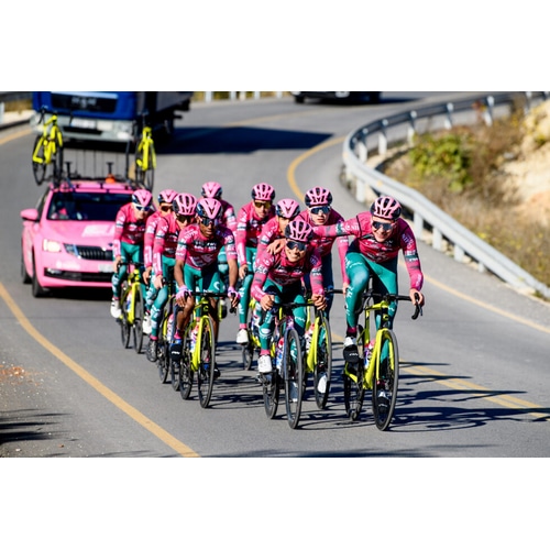 NORTH WAVE ( �m�[�X�E�F�[�u ) �����W���[�W EF DEV REPLICA JSY �s���N/�O���[�� M