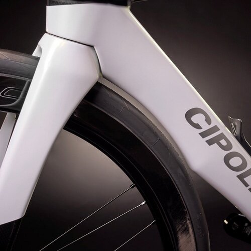 CIPOLLINI ( `|b[j ) [ht[ RB1K THE ONE DISC ( U  fBXN ) ubN J[{ Vo[ XS (gڈ165cmO)