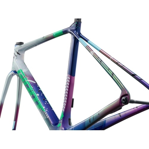 GIANT ( ジャイアント ) ロードフレーム TCR ADVANCED PRO Frameset