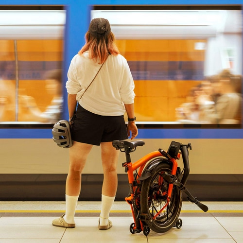 BROMPTON ( uvg ) ܂肽ݎ] G Line with Roller Frame ( GC [[t[ t ) 8-speed Ahx`[ IW M (gڈ168-183cm)